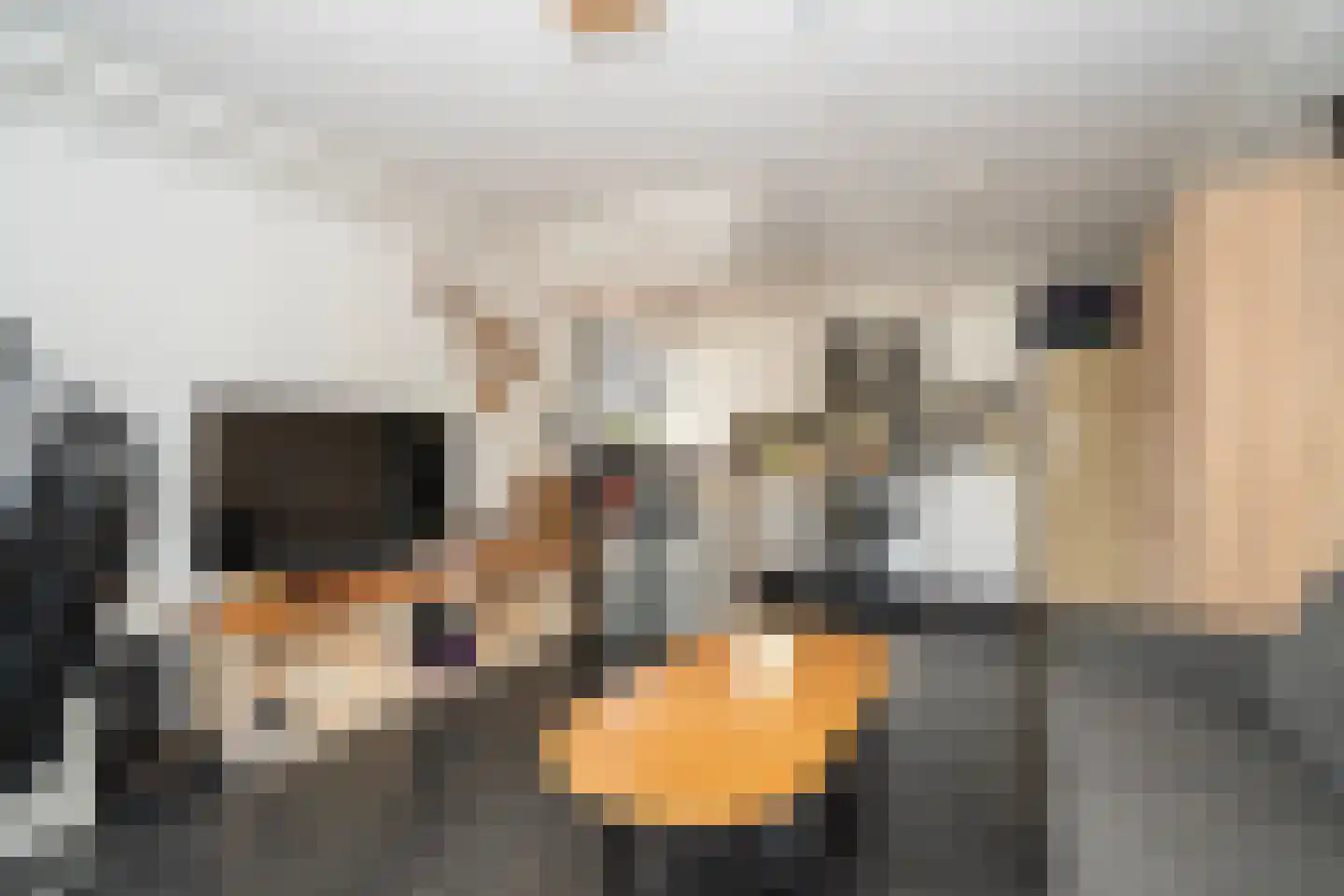 Bart van Peltplein 21 Tilburg thumbnail 13