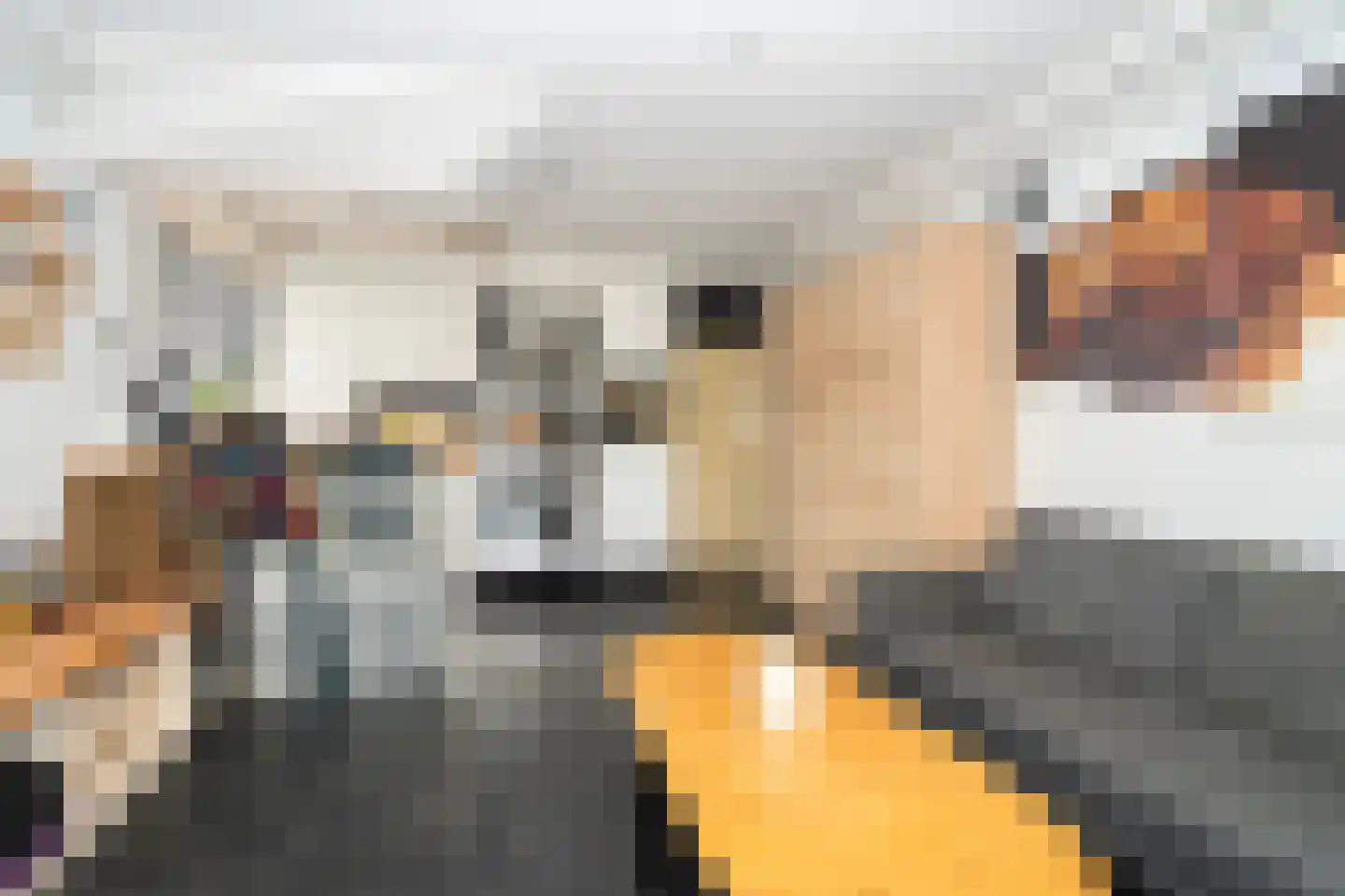 Bart van Peltplein 21 Tilburg thumbnail 14