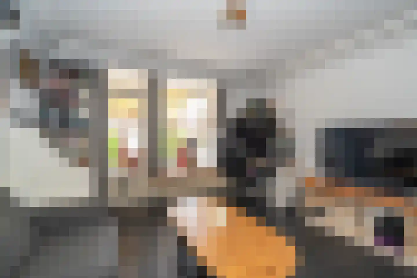 Bart van Peltplein 21 Tilburg thumbnail 16