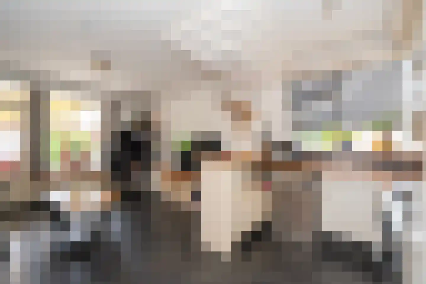 Bart van Peltplein 21 Tilburg thumbnail 18