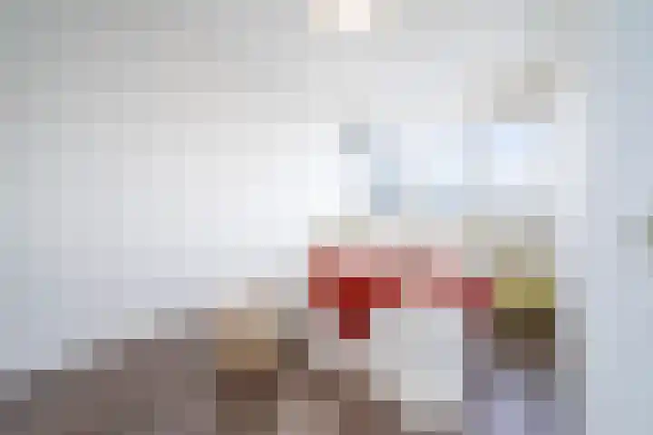 Bart van Peltplein 25 Tilburg thumbnail 18