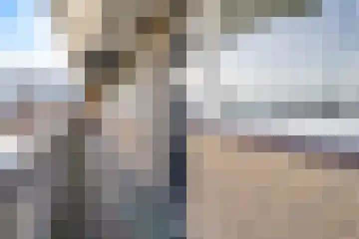 Bart van Peltplein 25 Tilburg thumbnail 30
