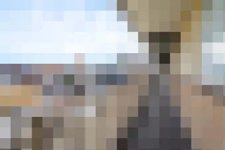 Bart van Peltplein 25 Tilburg thumbnail 31