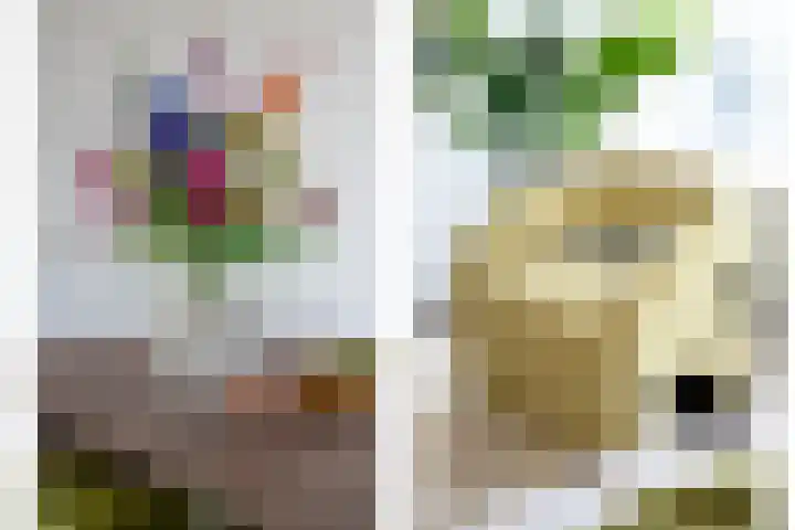 Bart van Peltplein 25 Tilburg thumbnail 4