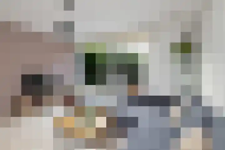 Bart Verhallenplein 16 Schiedam thumbnail 10