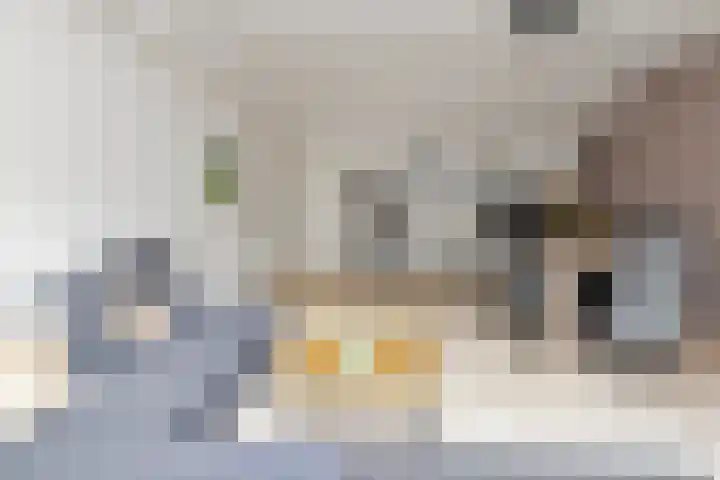Bart Verhallenplein 16 Schiedam thumbnail 13