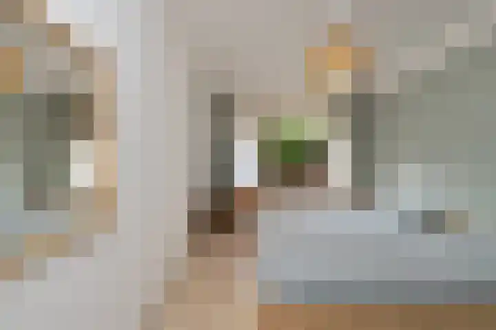 Bart Verhallenplein 16 Schiedam thumbnail 25