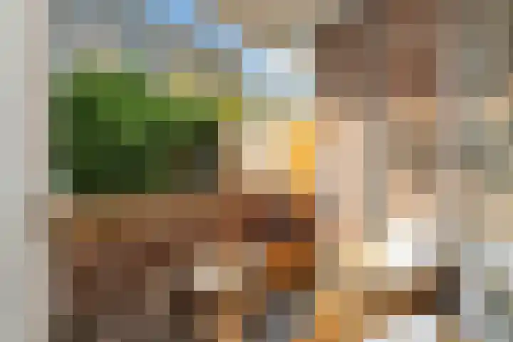 Bart Verhallenplein 16 Schiedam thumbnail 35