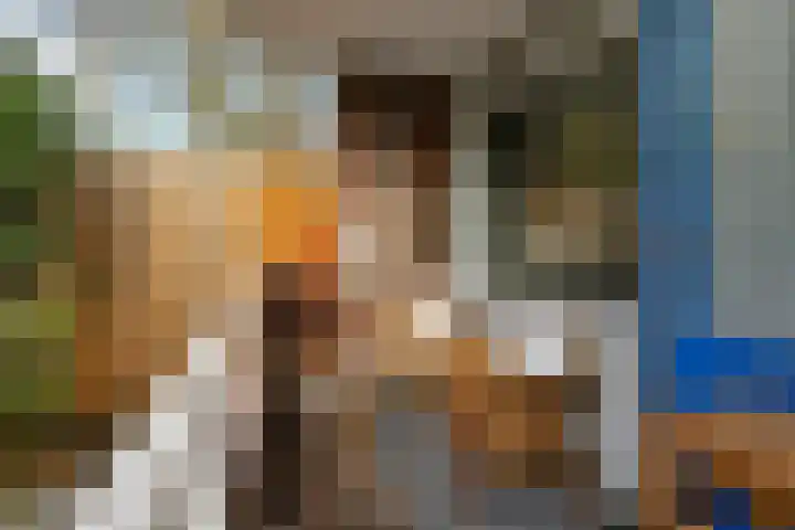 Bart Verhallenplein 16 Schiedam thumbnail 36