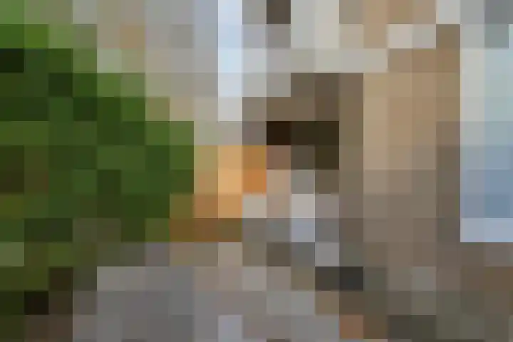 Bart Verhallenplein 16 Schiedam thumbnail 39