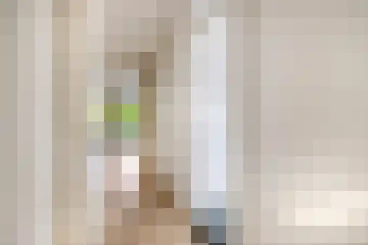 Bart Verhallenplein 37 Schiedam thumbnail 13