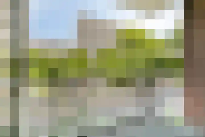 Bart Verhallenplein 37 Schiedam thumbnail 15