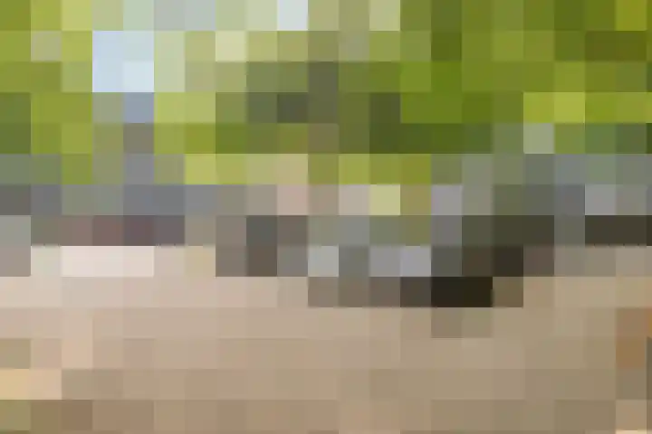 Bart Verhallenplein 37 Schiedam thumbnail 22