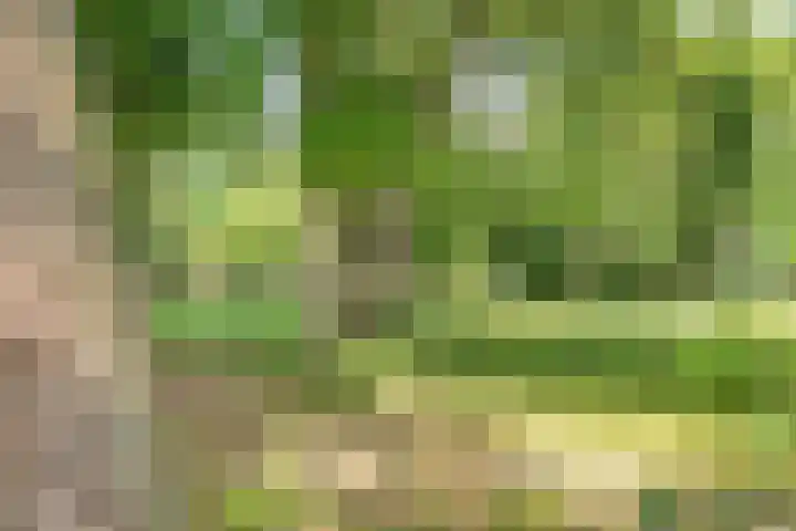 Bart Verhallenplein 37 Schiedam thumbnail 25