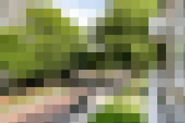 Bart Verhallenplein 37 Schiedam thumbnail 26