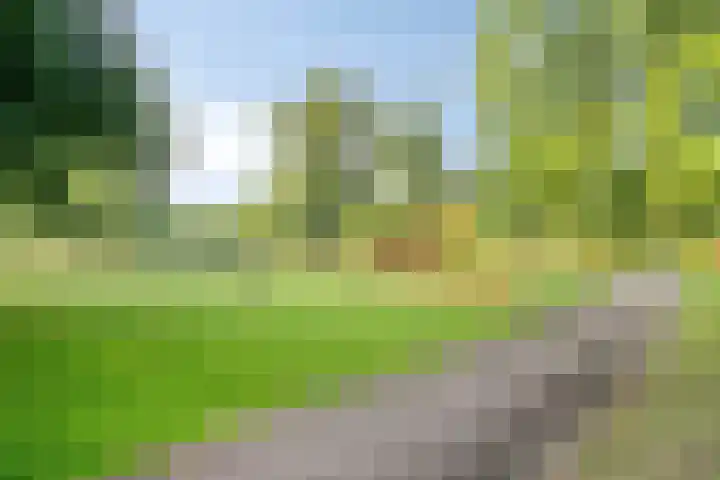 Bart Verhallenplein 37 Schiedam thumbnail 27