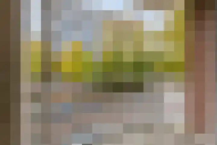 Bart Verhallenplein 38 Schiedam thumbnail 10