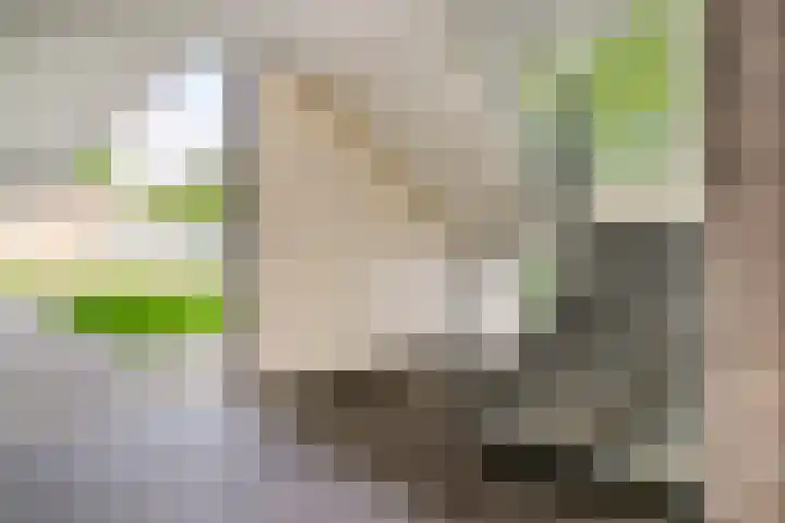 Bart Verhallenplein 38 Schiedam thumbnail 17