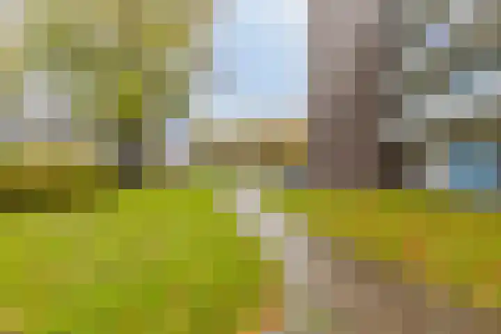 Bart Verhallenplein 38 Schiedam thumbnail 19