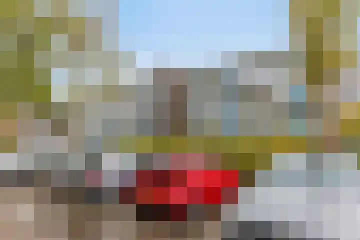 Bart Verhallenplein 38 Schiedam thumbnail 20