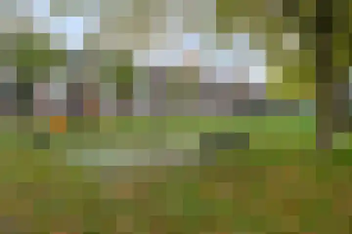 Bart Verhallenplein 38 Schiedam thumbnail 22