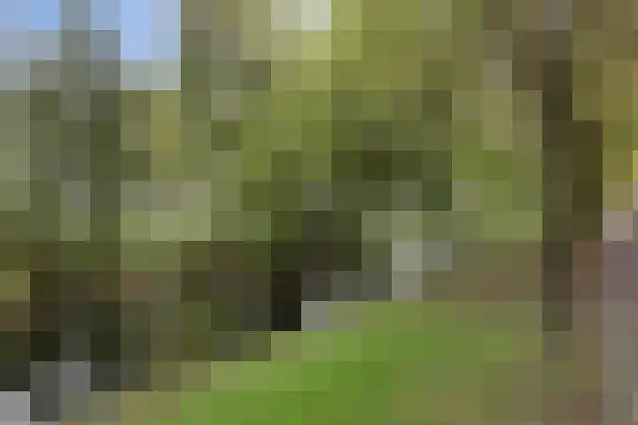 Bart Verhallenplein 38 Schiedam thumbnail 23