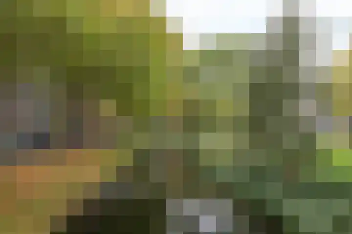 Bart Verhallenplein 38 Schiedam thumbnail 25