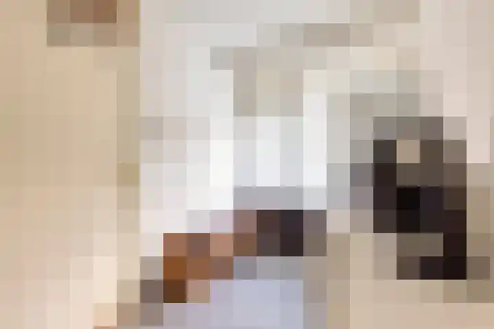 Bart Verhallenplein 38 Schiedam thumbnail 6