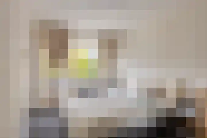 Bart Verhallenplein 38 Schiedam thumbnail 8