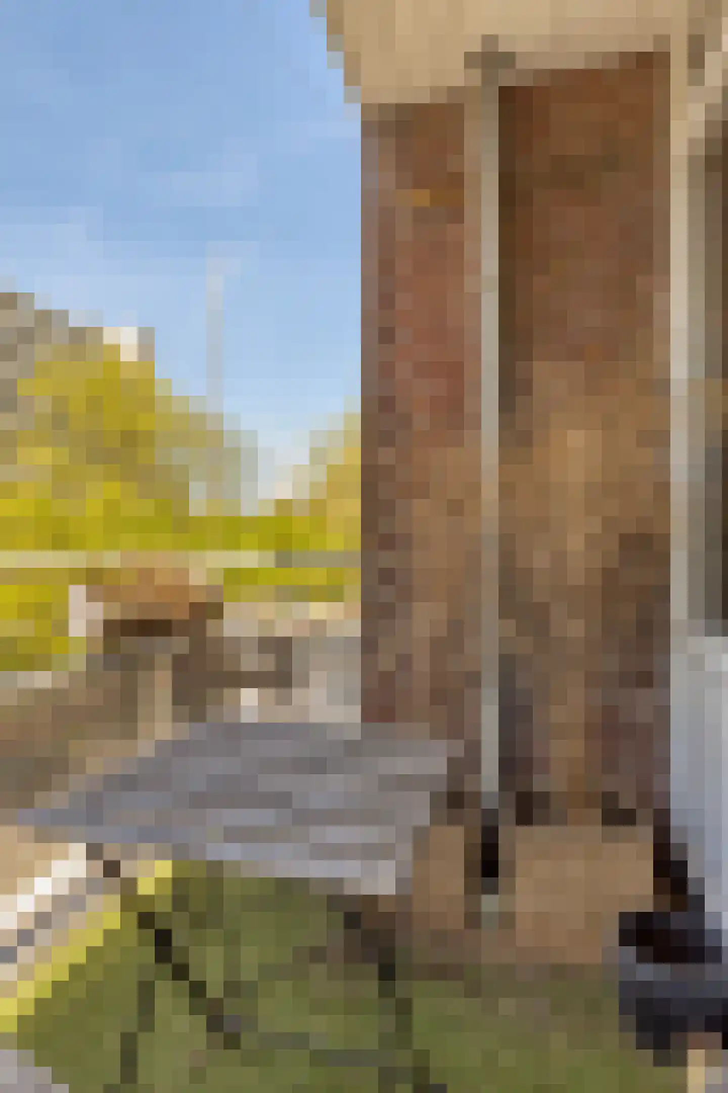 Bart Verhallenplein 47 Schiedam thumbnail 11