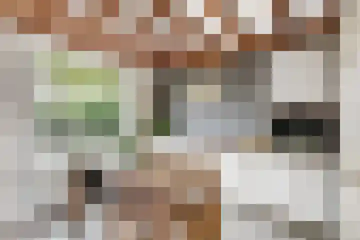 Bartelbaan 2 Ulicoten thumbnail 10