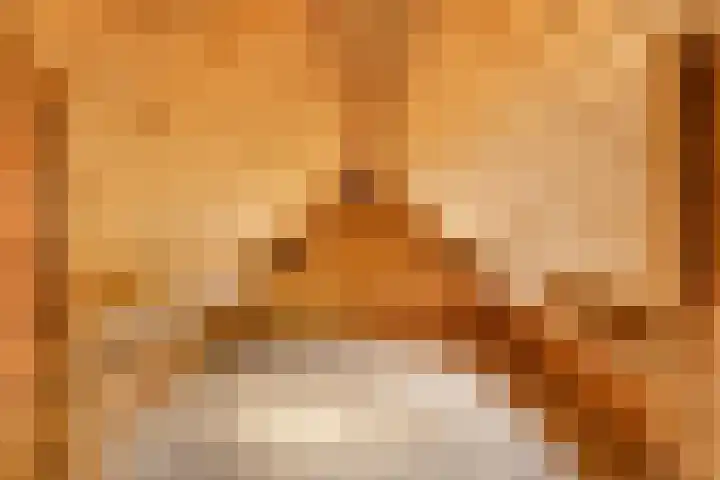 Bartelbaan 2 Ulicoten thumbnail 21