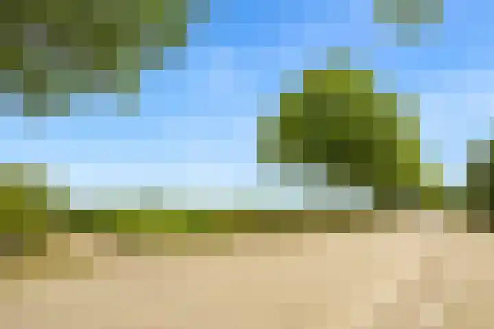 Bartelbaan 2 Ulicoten thumbnail 22