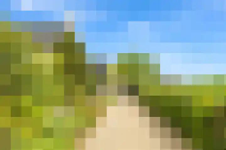 Bartelbaan 2 Ulicoten thumbnail 24