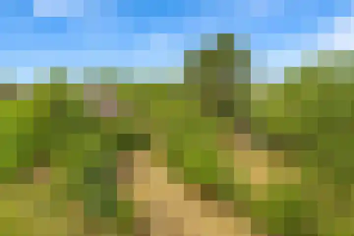 Bartelbaan 2 Ulicoten thumbnail 27
