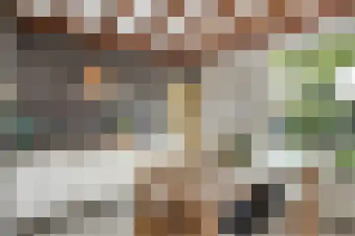 Bartelbaan 2 Ulicoten thumbnail 9