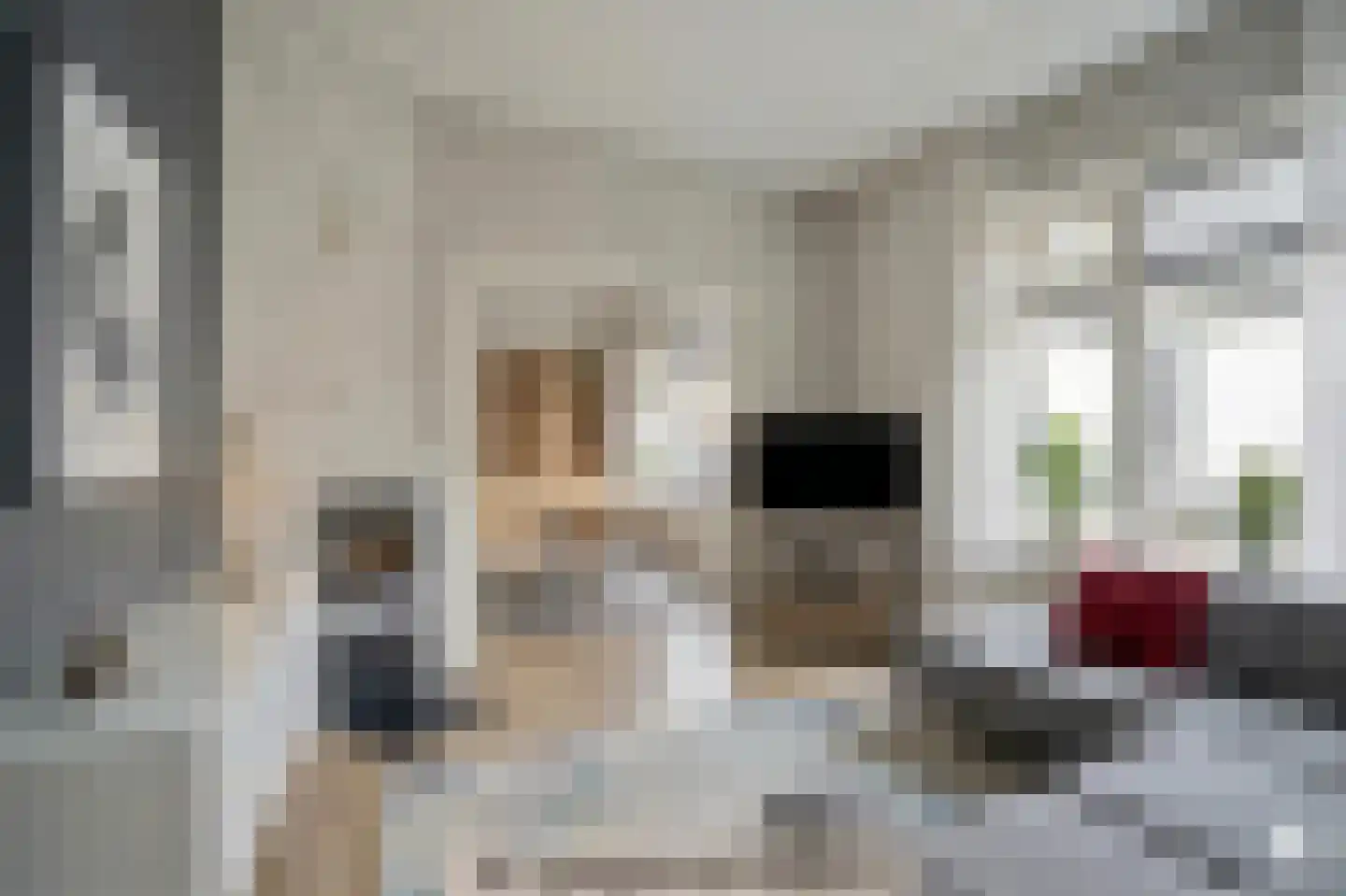 Bartelsweg 47 Apeldoorn thumbnail 10