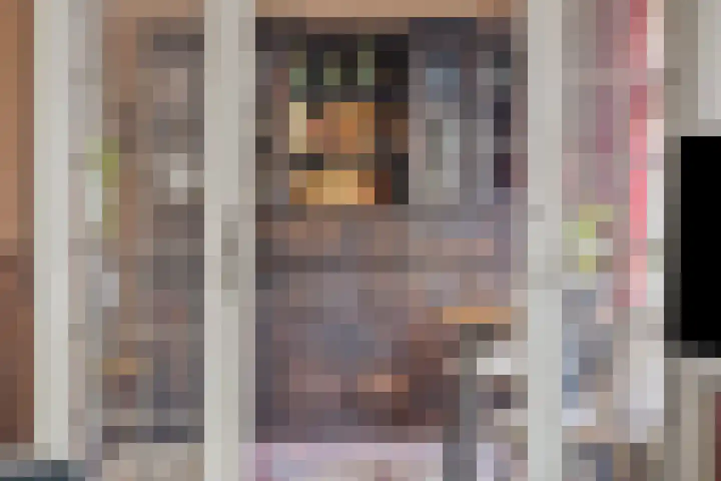 Bartelsweg 47 Apeldoorn thumbnail 11