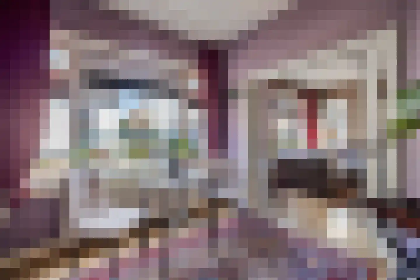 Bartelsweg 47 Apeldoorn thumbnail 13