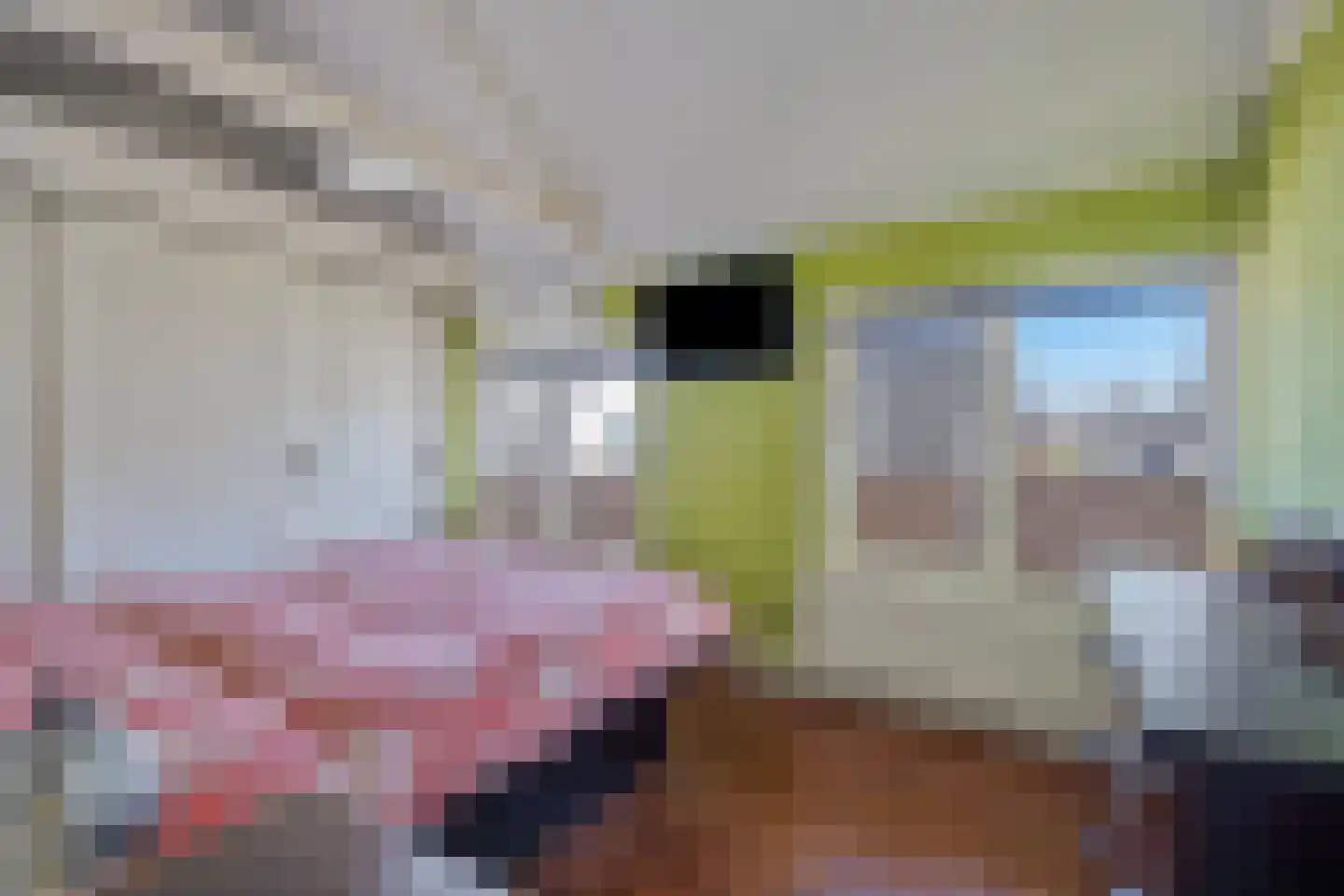 Bartelsweg 47 Apeldoorn thumbnail 21