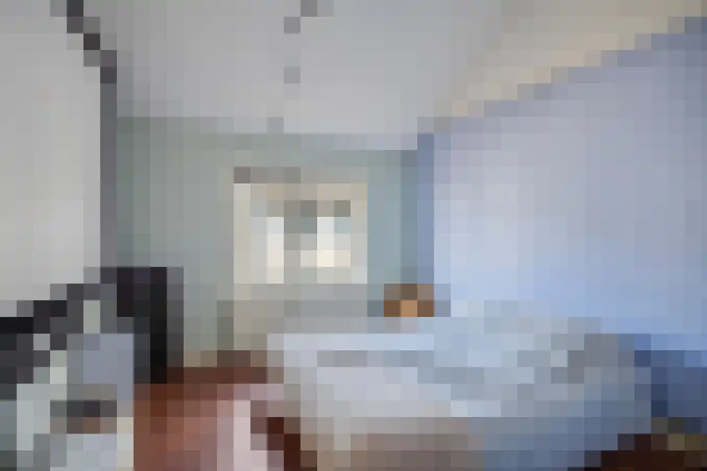 Bartelsweg 47 Apeldoorn thumbnail 23