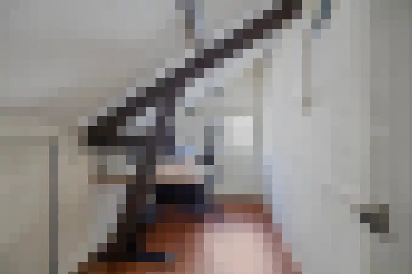 Bartelsweg 47 Apeldoorn thumbnail 24