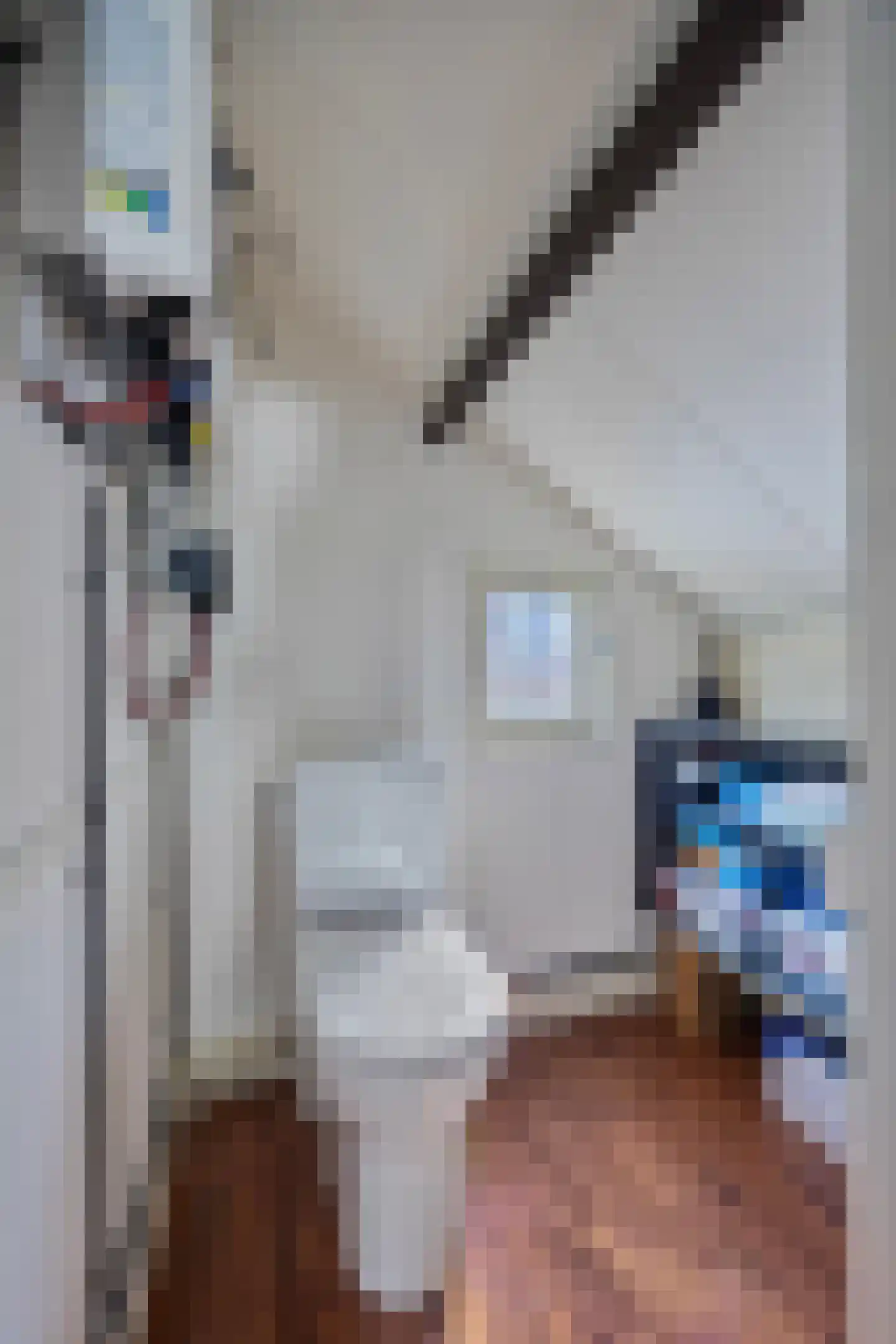 Bartelsweg 47 Apeldoorn thumbnail 25