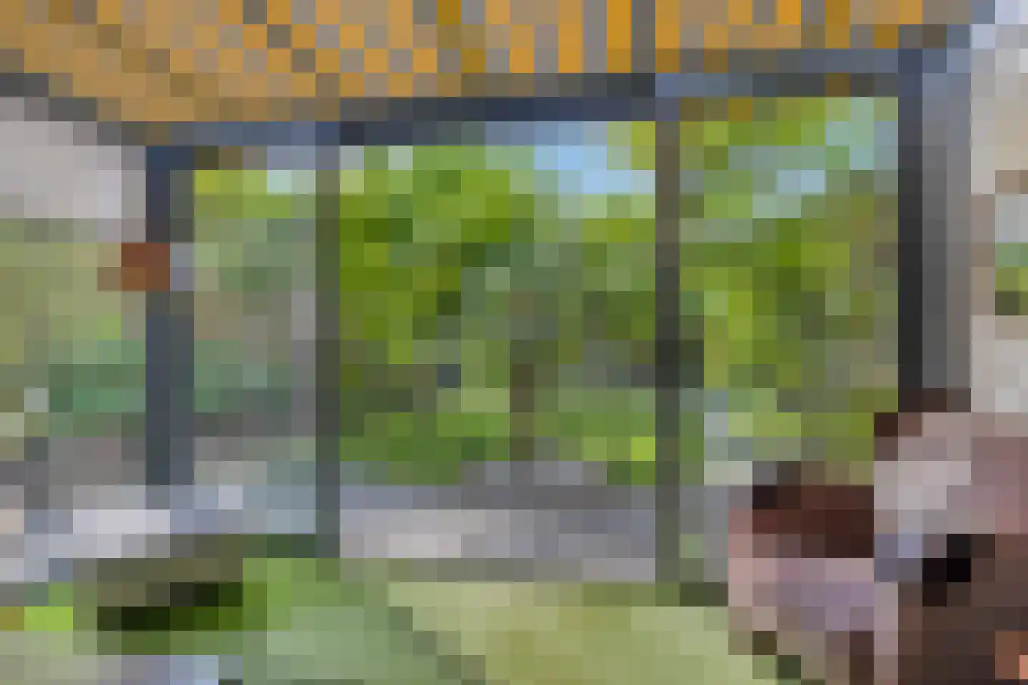 Bartelsweg 47 Apeldoorn thumbnail 35