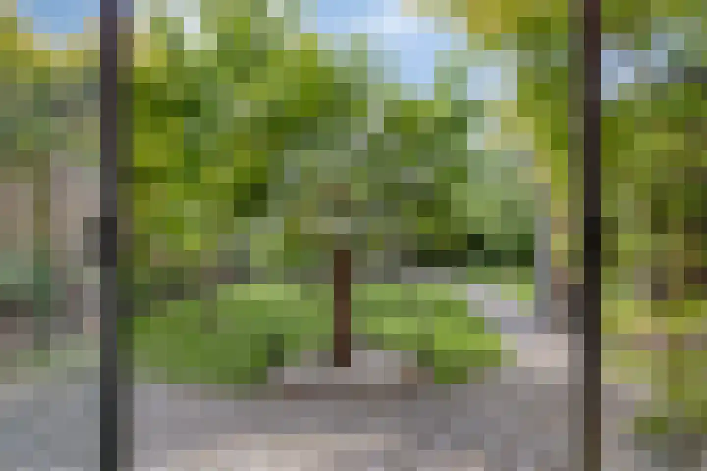 Bartelsweg 47 Apeldoorn thumbnail 36