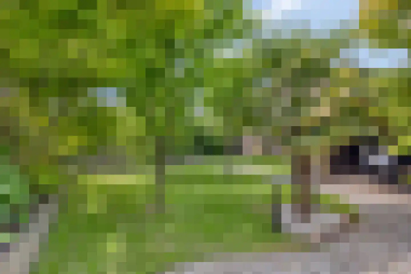 Bartelsweg 47 Apeldoorn thumbnail 37