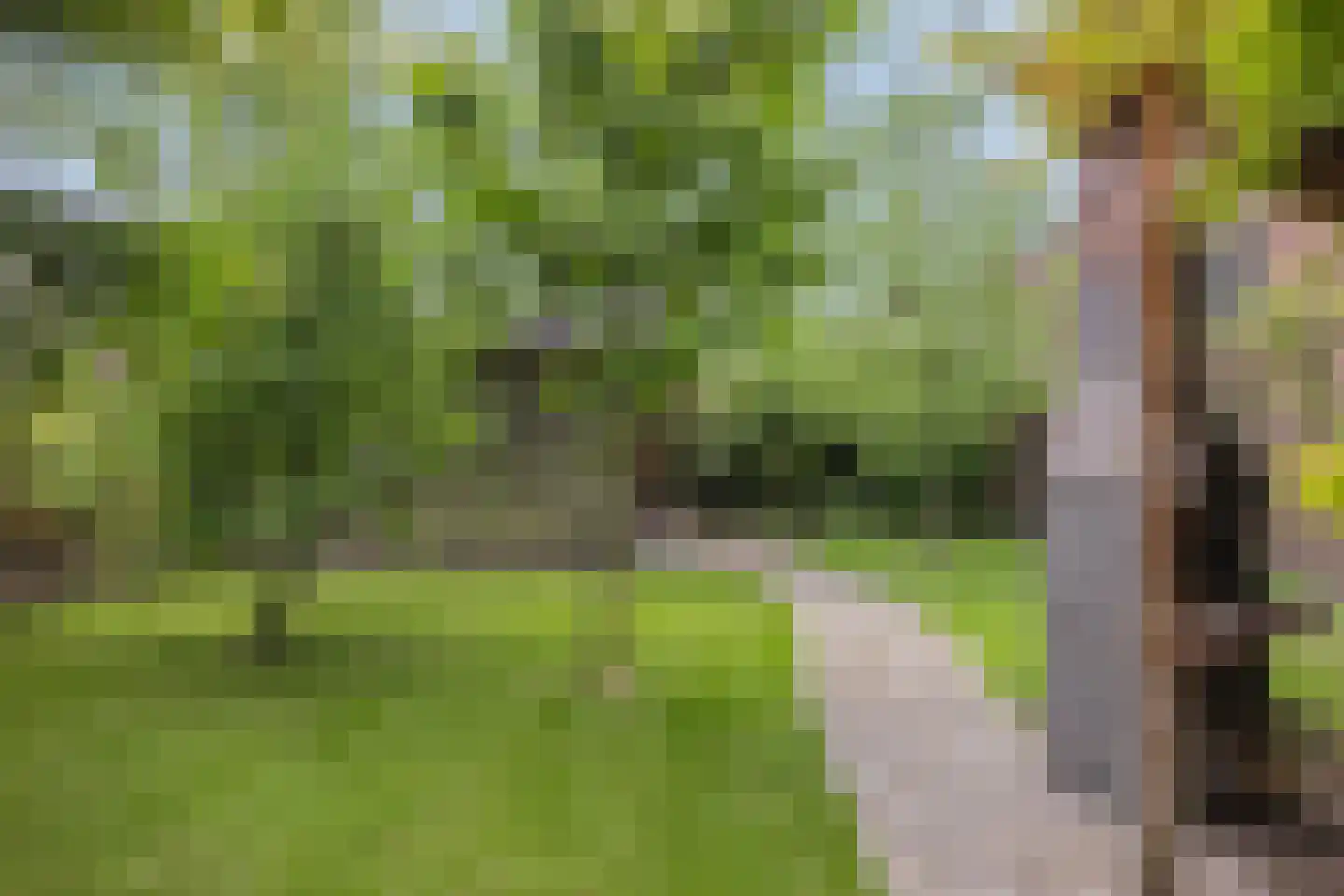 Bartelsweg 47 Apeldoorn thumbnail 38