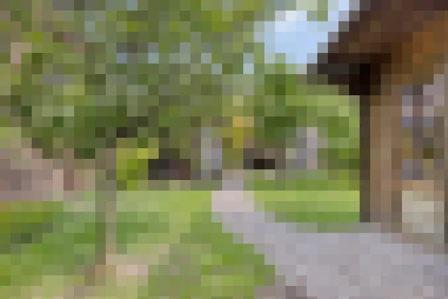 Bartelsweg 47 Apeldoorn thumbnail 40