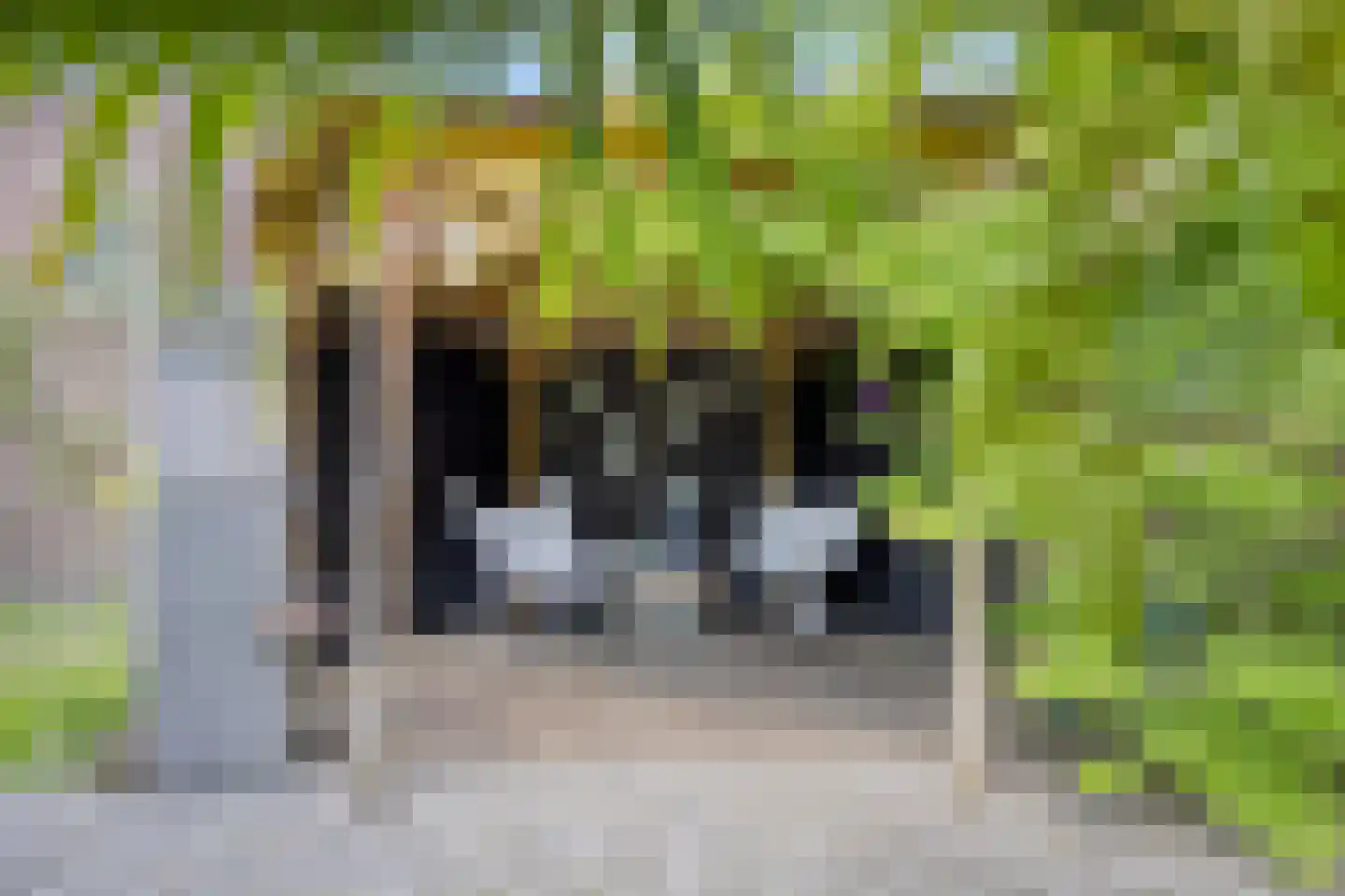 Bartelsweg 47 Apeldoorn thumbnail 42