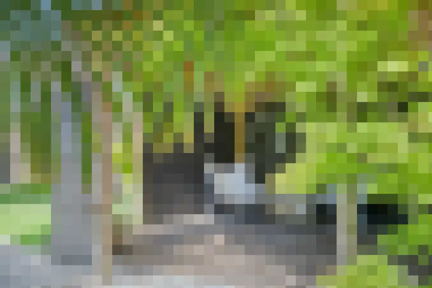 Bartelsweg 47 Apeldoorn thumbnail 43
